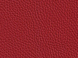 Sitzfläche in Leder rot LS