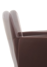 Willi Schillig Sessel 10600 Rialto Sessel MH - Rückenhöhe 95 cm Leder Z 73 Alufuß glänzend F49