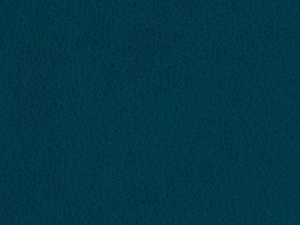 Bezug in Leder Z69-29 ocean blue