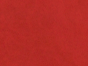 Bezug in Leder Z69-64 red orange