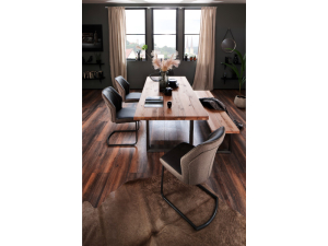 MCA Furniture Esstisch Castello - Maße in 240x100 cm - Gestell in Edelstahl gebüstet - Platte in Wildeiche lackiert - CAS240EW
