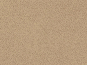 Stoff Arizona Sand - 12502