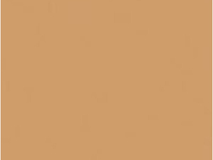 Gestellfarbe in Lack brown beige - RAL1011