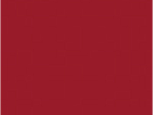 Gestellfarbe in Lack ruby red - RAL3003
