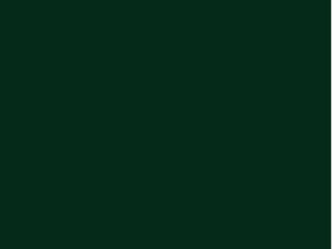 Gestellfarbe in Lack fir green - RAL6009