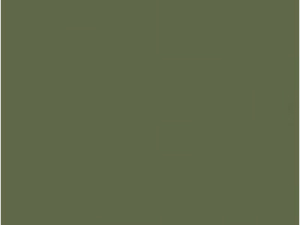 Gestellfarbe in Lack reed green - RAL6013