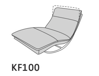 KF 100
